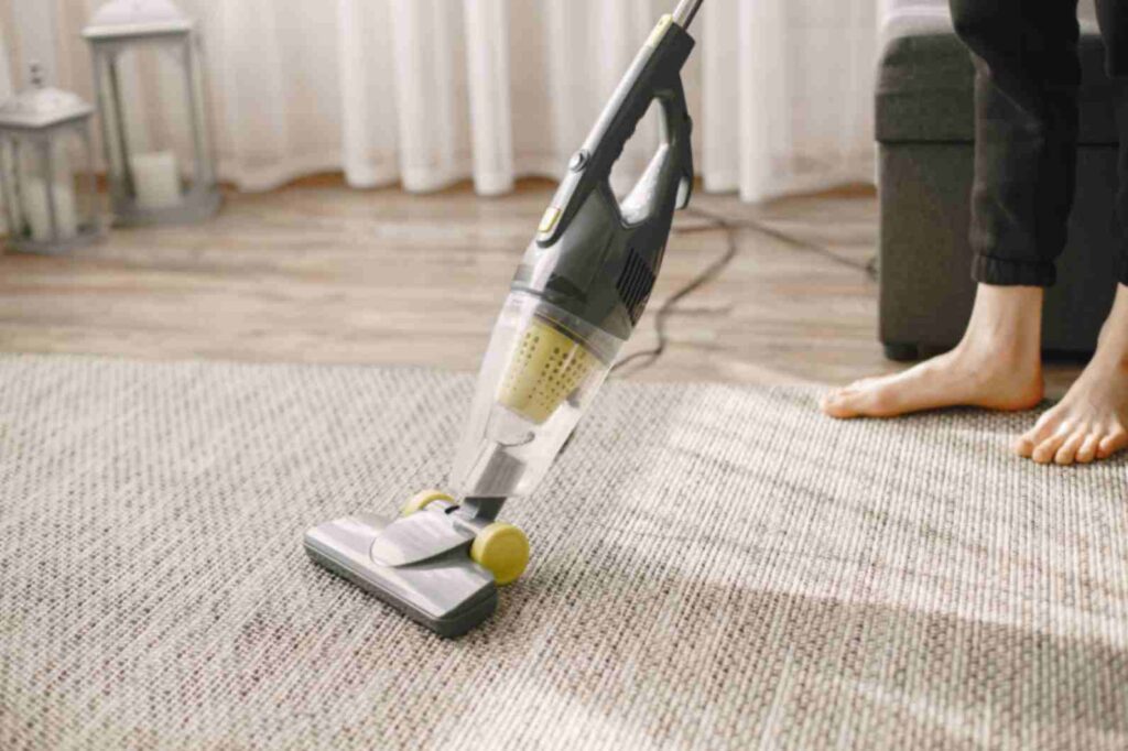 Eco-Friendly Carpet Cleaning Services Bath Safe for Your Family and Pets-1